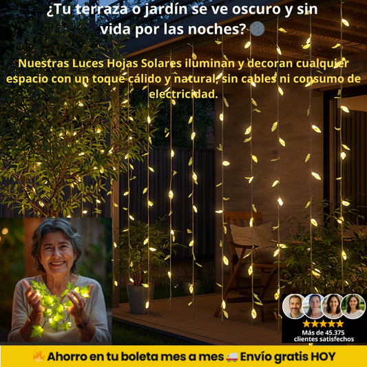 Guirnalda Solar de Hojas  3x3 m / Luz Cálida | Ilumina tu hogar gratis 🌿☀️